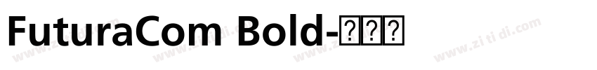 FuturaCom Bold字体转换 FuturaCom Bold字体转换